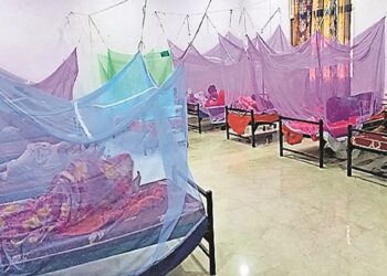 बिहार में बढ़ रहे डेंगू के मरीज