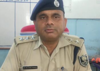 DSP शिबली नोमानी