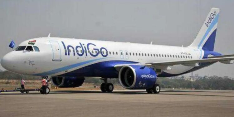 indigo flight