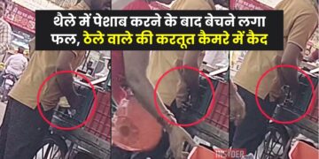 Video : थैले में पेशाब करने के बाद बेचने लगा फल, ठेले वाले की करतूत कैमरे में कैद