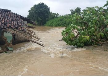 भारी बारिश में टूटा तालाब का कैनाल, दर्जनों घर बहे फसलें डूबी, लोगों ने की मुआवजे की मांग