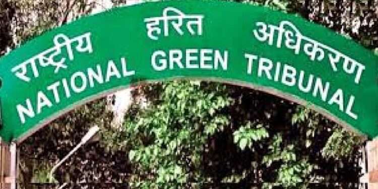 गंगा प्रदूषण को लेकर झारखंड सरकार पर NGT ने लगाया जुर्माना, जानें पूरी रिपोर्ट