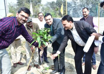 राष्ट्रीय युवा दिवस पर विवा इंटरनेशनल स्कूल में पौधारोपण, पर्यावरण संरक्षण का संदेश