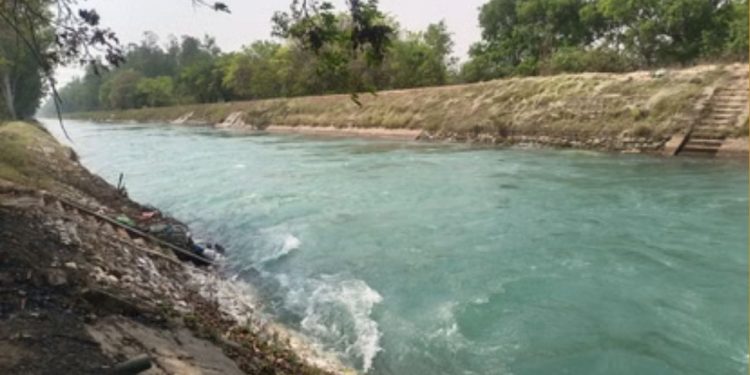 Aurangabad Bihar girl dead body in canal बिहार औरंगाबाद में नहर से मिला लड़की का शव Bihar Crime News latest update 15 August missing girl found dead Bihar औरंगाबाद नहर कांड सोनाली कुमारी