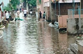 Patna News दानापुर में 25 दिनों से जलजमाव से जूझ रहे लोग, सड़कों और मोहल्लों में भरा पानी बना मुसीबत