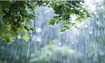 बिहार में भारी बारिश की संभावना, अगले तीन घंटे के लिए इन जिलों में अलर्ट जारी…