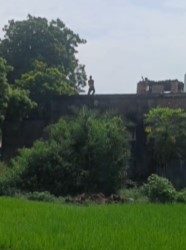 गोलीबारी से दहला नालंदा का बहुआरा गाँव, सोशल मिडिया पर फैला विडियो