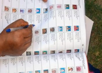 नई मतदाता सूची 2025 का प्रकाशन, निर्वाचन आयोग वोटर लिस्ट, Assembly Election 2025 Voter List Download, Voter List Free for Political Parties