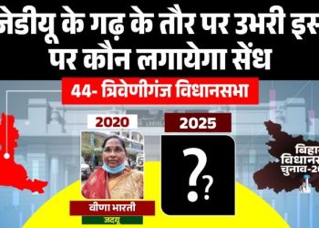 Triveniganj Vidhansabha Election 2025, त्रिवेणीगंज विधानसभा बिहार, Veena Bharti JDU MLA, Triveniganj Assembly Seat Analysis, Triveniganj Politics Bihar