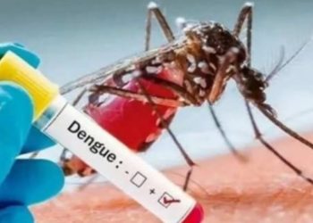 पटना में डेंगू के अबतक 312 मामलें, बरतें सावधानी