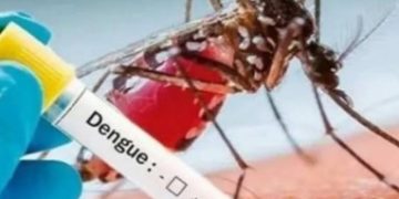 पटना में डेंगू के अबतक 312 मामलें, बरतें सावधानी