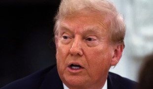 एलन मस्क के फैक्ट चेकिंग पर भड़के ट्रंप के करीबी सलाहकार पीटर नेवारो.. खरी-खोटी सुनाई