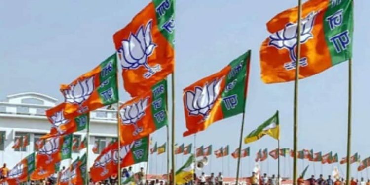 Bihar Election 2025 BJP Kayasth Anger Patna Patna BJP Candidate Change Bihar Assembly Election कुम्हरार सीट कायस्थ नाराजगी भाजपा बिहार चुनाव Bihar BJP Election 2025 Patna Politics