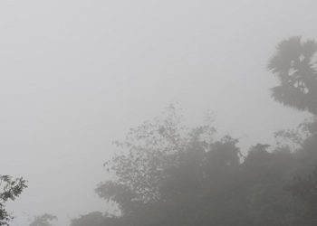 Bihar cold wave foggy morning, Gaya lowest temperature winter, Patna cold weather pachhua wind, Dense fog impact flights Bihar
