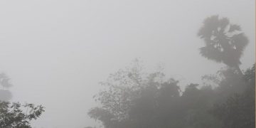 Bihar cold wave foggy morning, Gaya lowest temperature winter, Patna cold weather pachhua wind, Dense fog impact flights Bihar