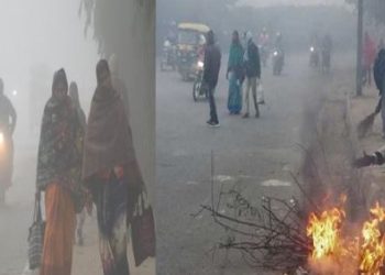 Bihar cold wave weather, Bihar foggy morning, IMD weather alert Bihar, Winter season in Bihar, Cold day condition Bihar