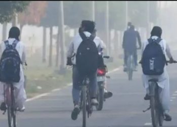 winter fog in city school timing news, DM order school timing change winter, dense fog cold wave effect schools