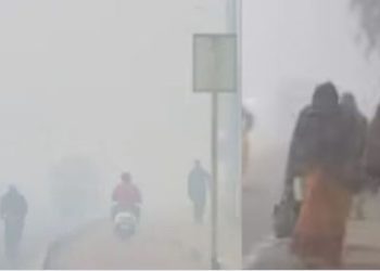Bihar weather fog image, Patna IMD weather alert, Dense fog in Bihar roads, Cold day condition Bihar, Bihar winter season fog