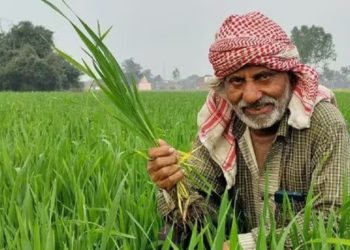 Bihar farmers budget announcement image, Nitish Kumar farmer scheme, Kisan Samman Nidhi Bihar news, DBT transfer farmers Bihar, agriculture budget 2026 Bihar