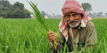 Bihar farmers budget announcement image, Nitish Kumar farmer scheme, Kisan Samman Nidhi Bihar news, DBT transfer farmers Bihar, agriculture budget 2026 Bihar