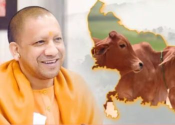Kundarki cow slaughter controversy UP police action on gokraksha Shankaracharya Avimukteshwaranand statement on cow issue Hindu protest against cow slaughter