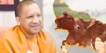 Kundarki cow slaughter controversy UP police action on gokraksha Shankaracharya Avimukteshwaranand statement on cow issue Hindu protest against cow slaughter
