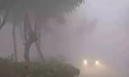 बिहार में कोहरे का सिलसिला थमा नहीं, छपरा में विजिबिलिटी सिर्फ 50 मीटर, IMD ने 4 फरवरी तक राहत की उम्मीद जताई