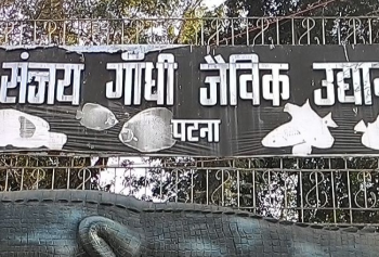बर्ड फ्लू का खतरा! पटना के संजय गांधी जैविक उद्यान में हाई अलर्ट, 24 घंटे मॉनिटरिंग शुरू