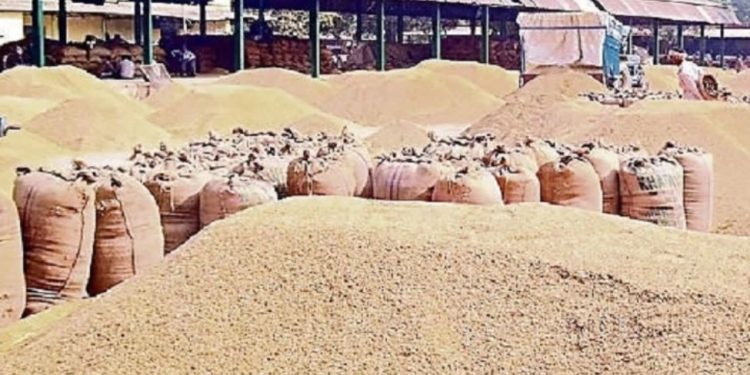 Bihar MSP Payment, धान अधिप्राप्ति 2026, PACS Bihar procurement, Kisan Direct Benefit Transfer, Paddy Moisture Check, Bihar Agriculture News, Kisan Samriddhi Yojana, Food Department Bihar, Central Government Approval, Paddy Purchase Extension