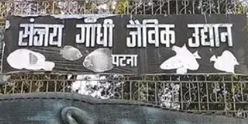 Bihar News संजय गांधी जू में बर्ड फ्लू का साया- मेन्यू बदला, एंट्री गेट पर जूतों की जांच शुरू