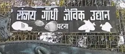 Bihar News संजय गांधी जू में बर्ड फ्लू का साया- मेन्यू बदला, एंट्री गेट पर जूतों की जांच शुरू